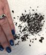 Lavender seeds are small!