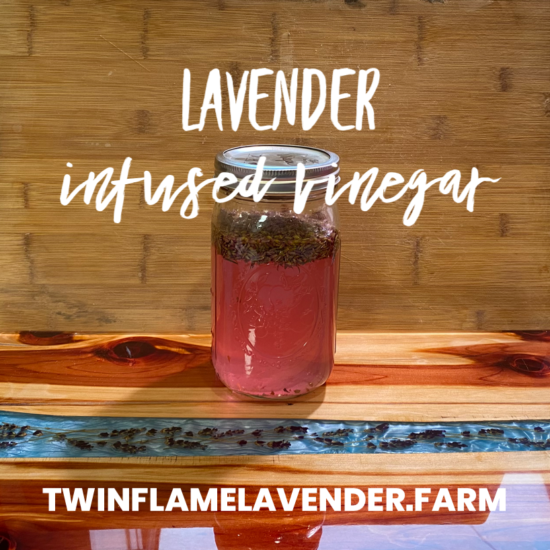 DIY Lavender Infused Vinegar for Cleaning