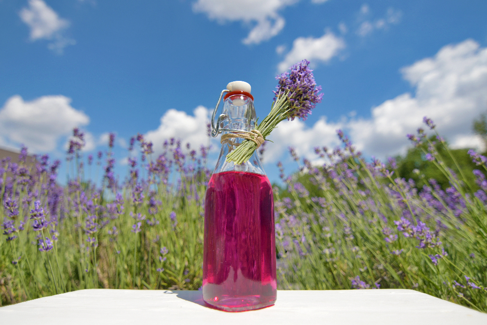18 uses for lavender simple syrup