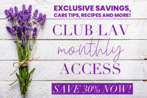 Club Lav Lavender Newsletter