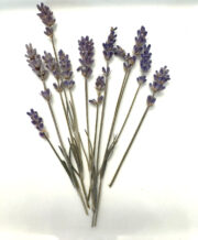 lavender sprigs for cooking and baking