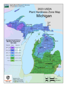 michigan usda hardiness grow zone - Twin Flame Lavender Farm Michigan